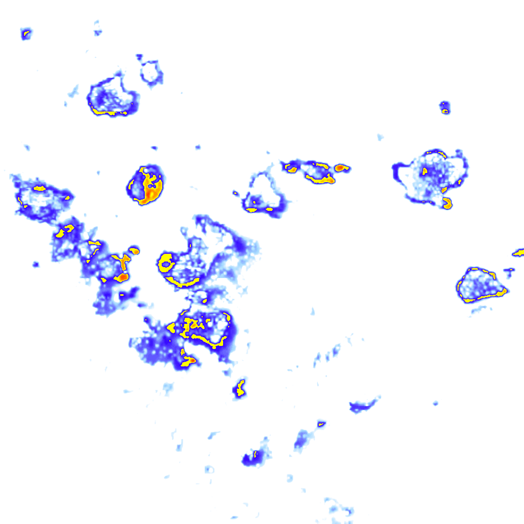 Image Layer