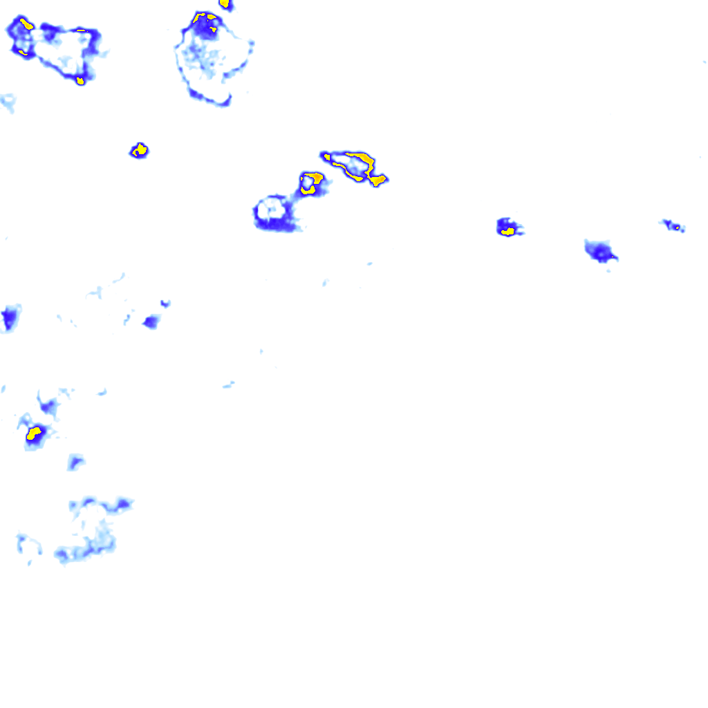 rainLayer