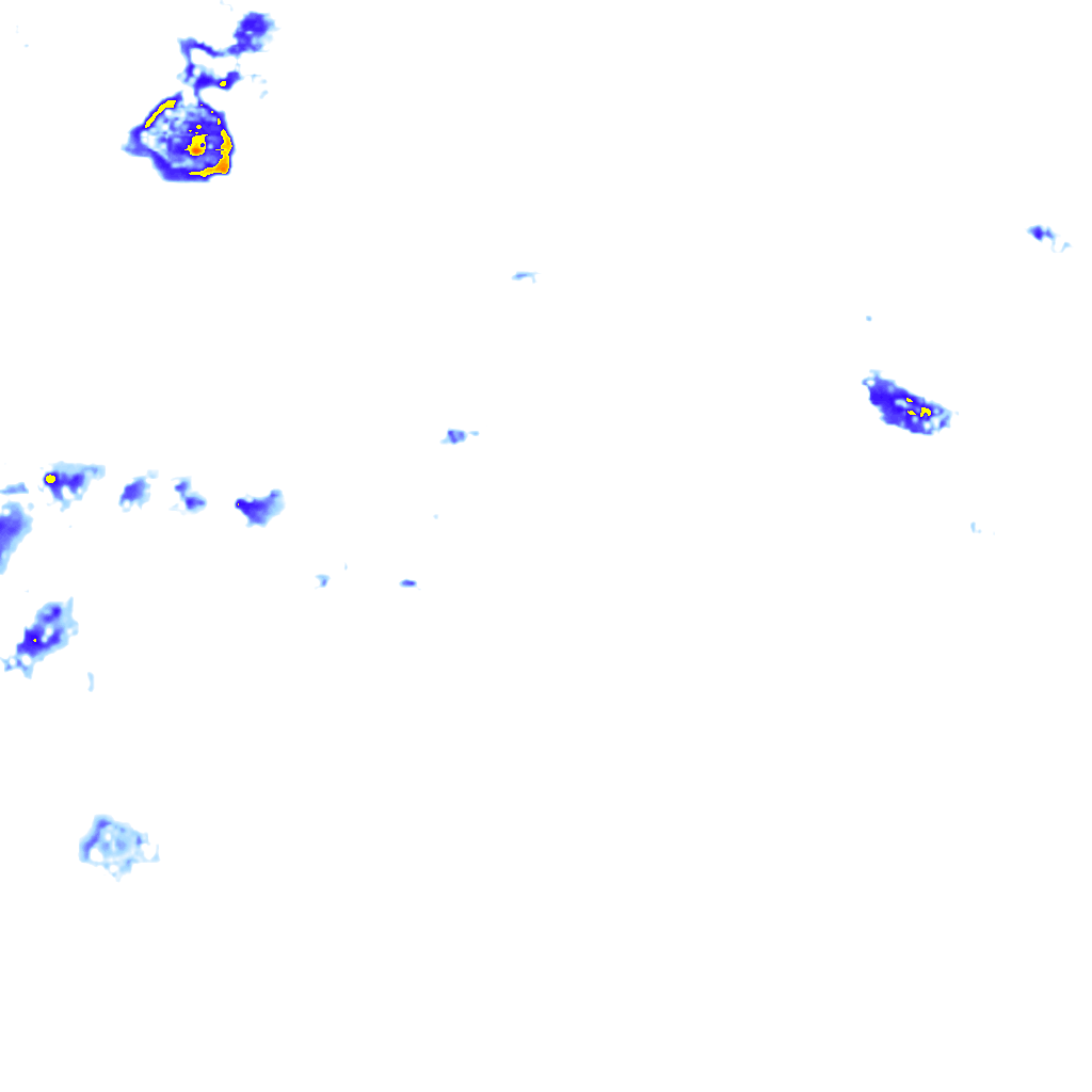 rainLayer
