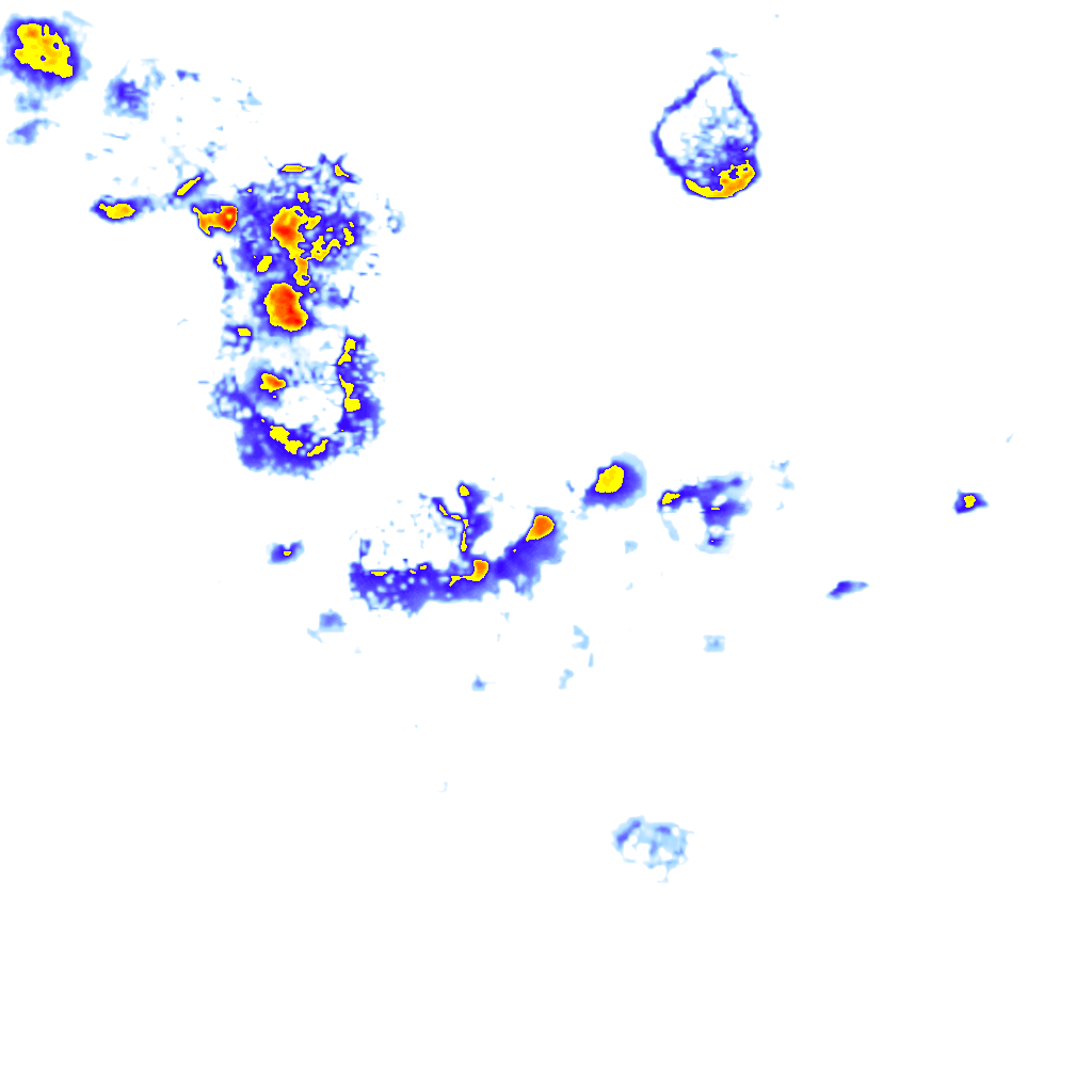 rainLayer