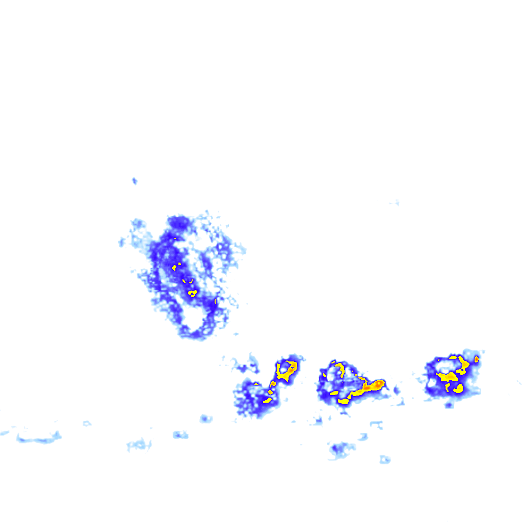 Image Layer