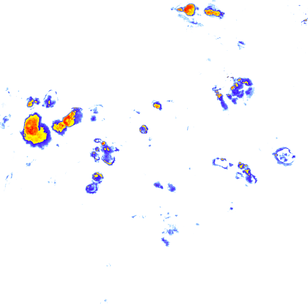 Image Layer