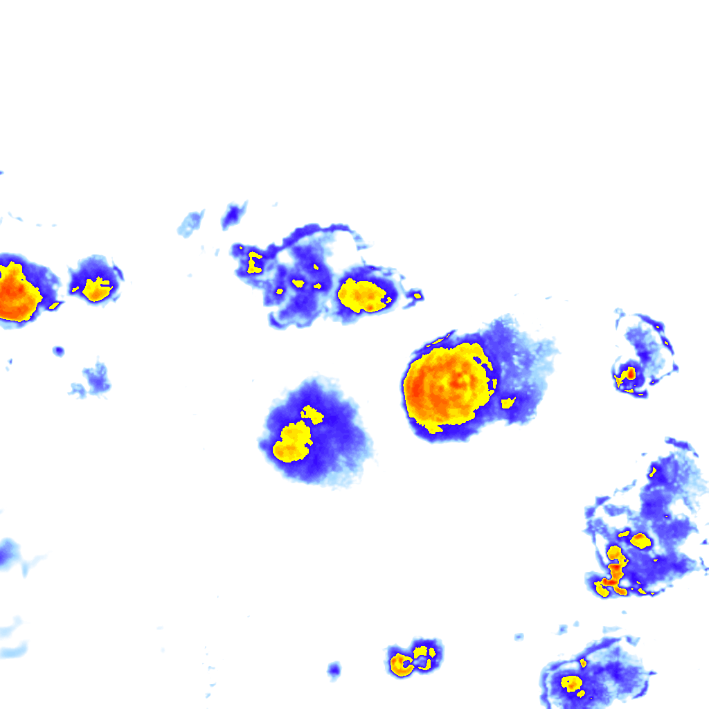 Image Layer