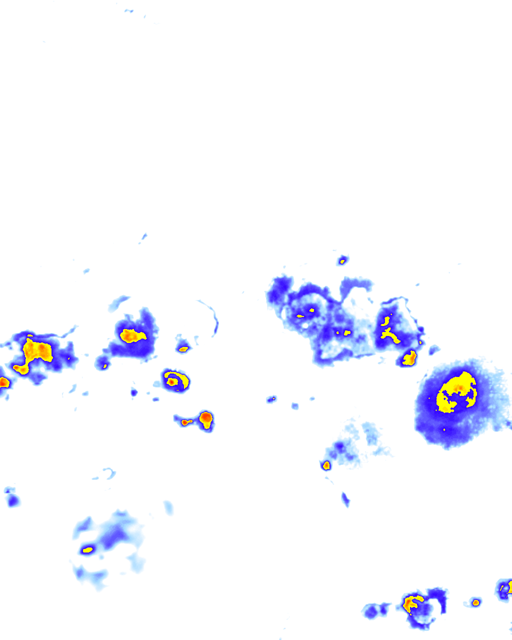 rainLayer