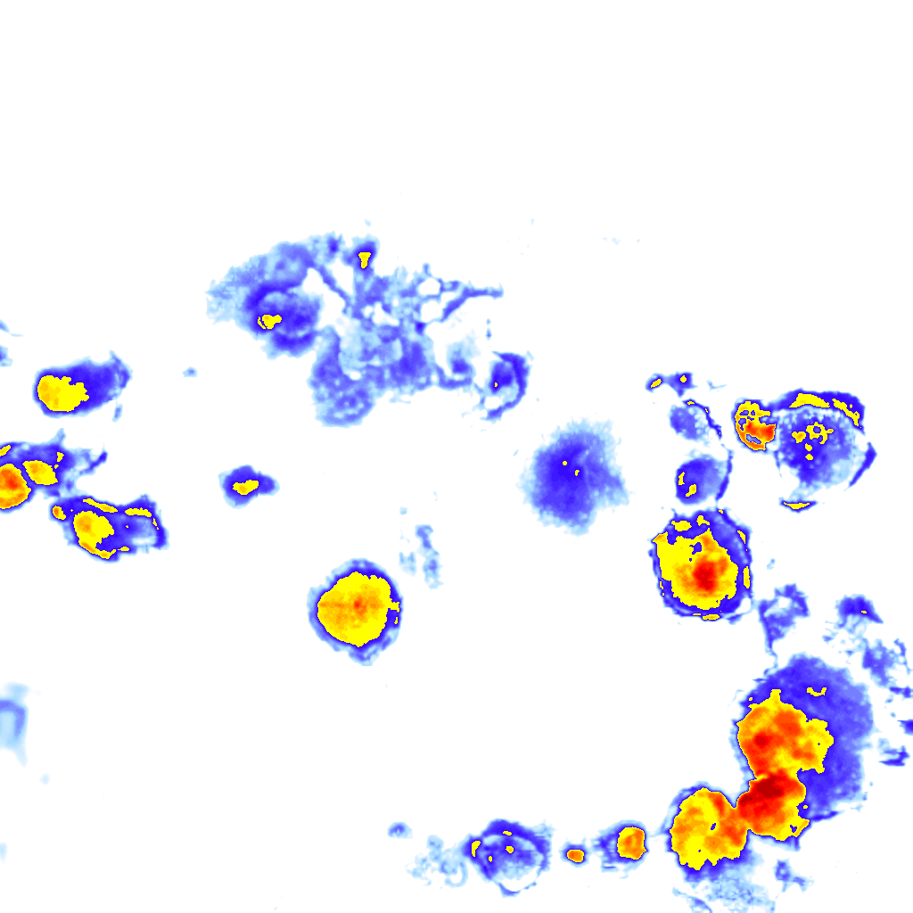Image Layer
