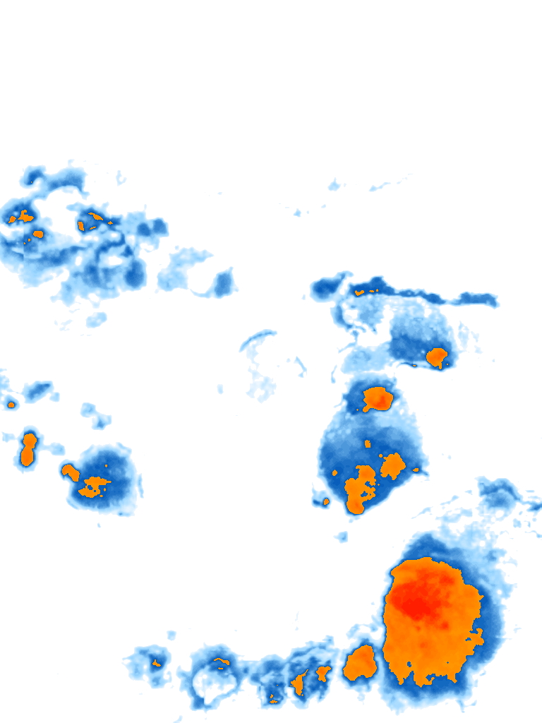 rain layer