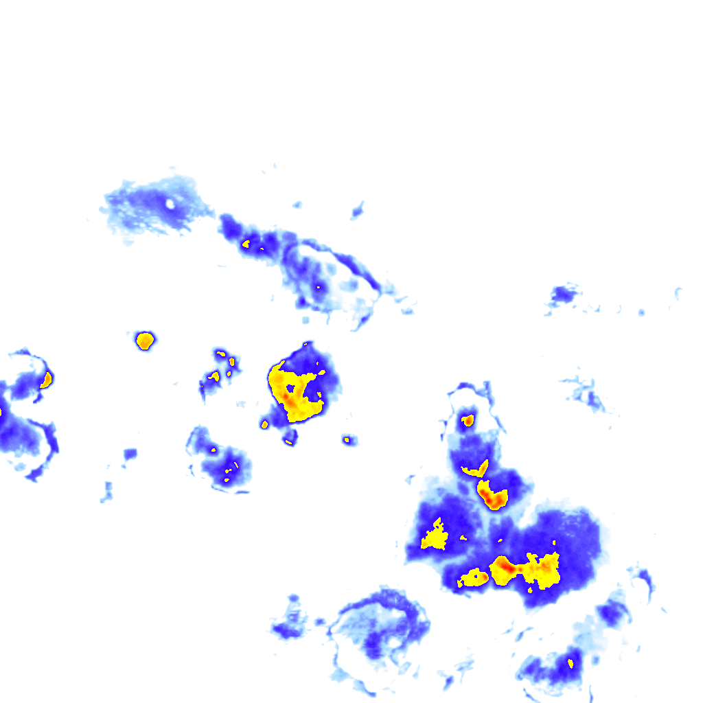 rainLayer