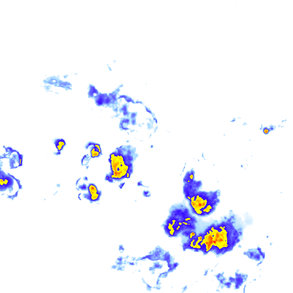 rainLayer