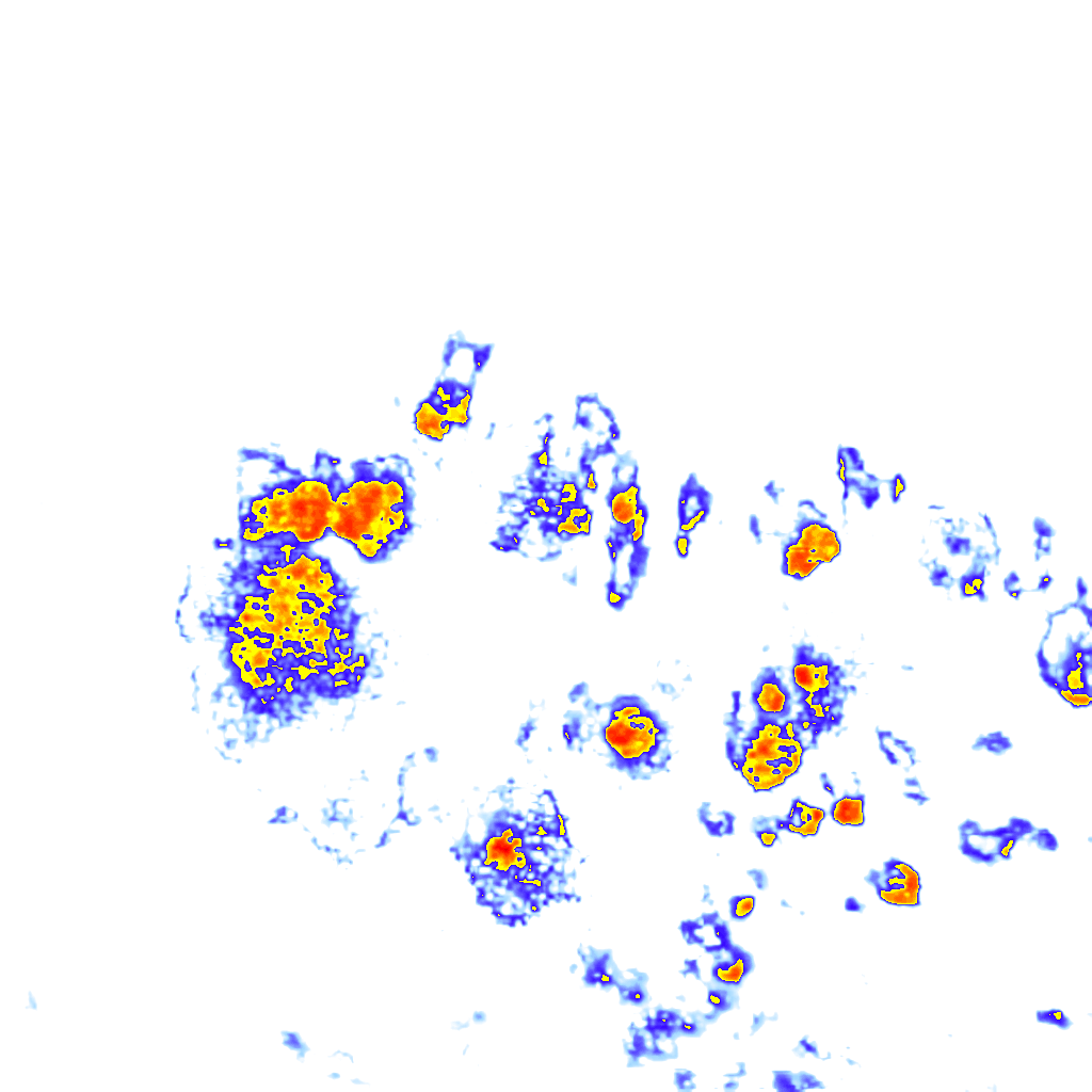 Image Layer