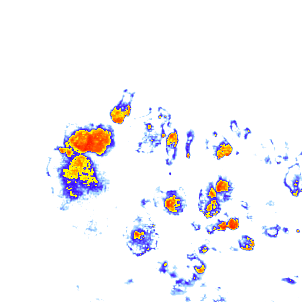 Image Layer