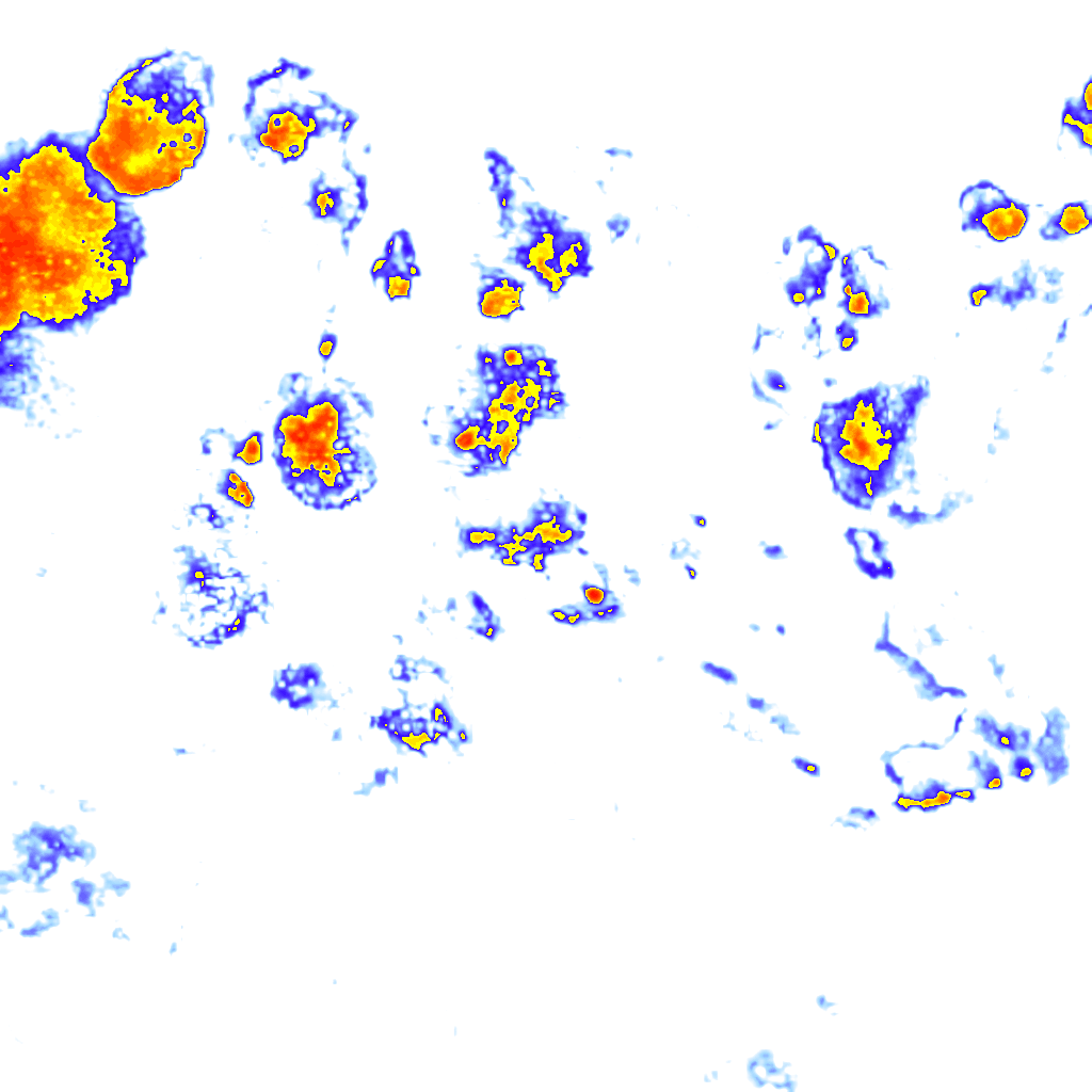 Image Layer