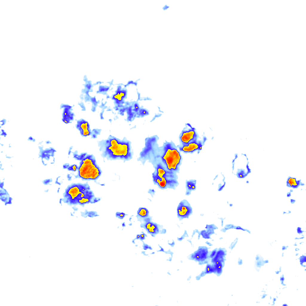 Image Layer