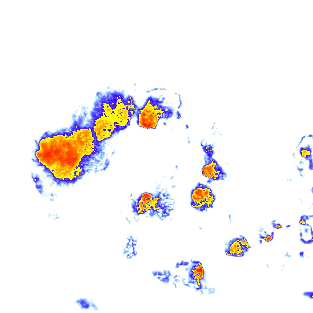 rainLayer