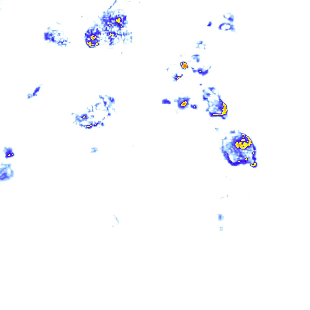 rainLayer