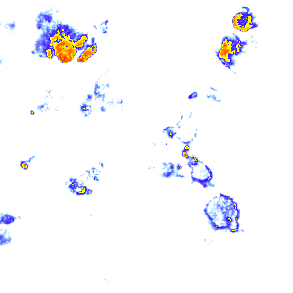 Image Layer