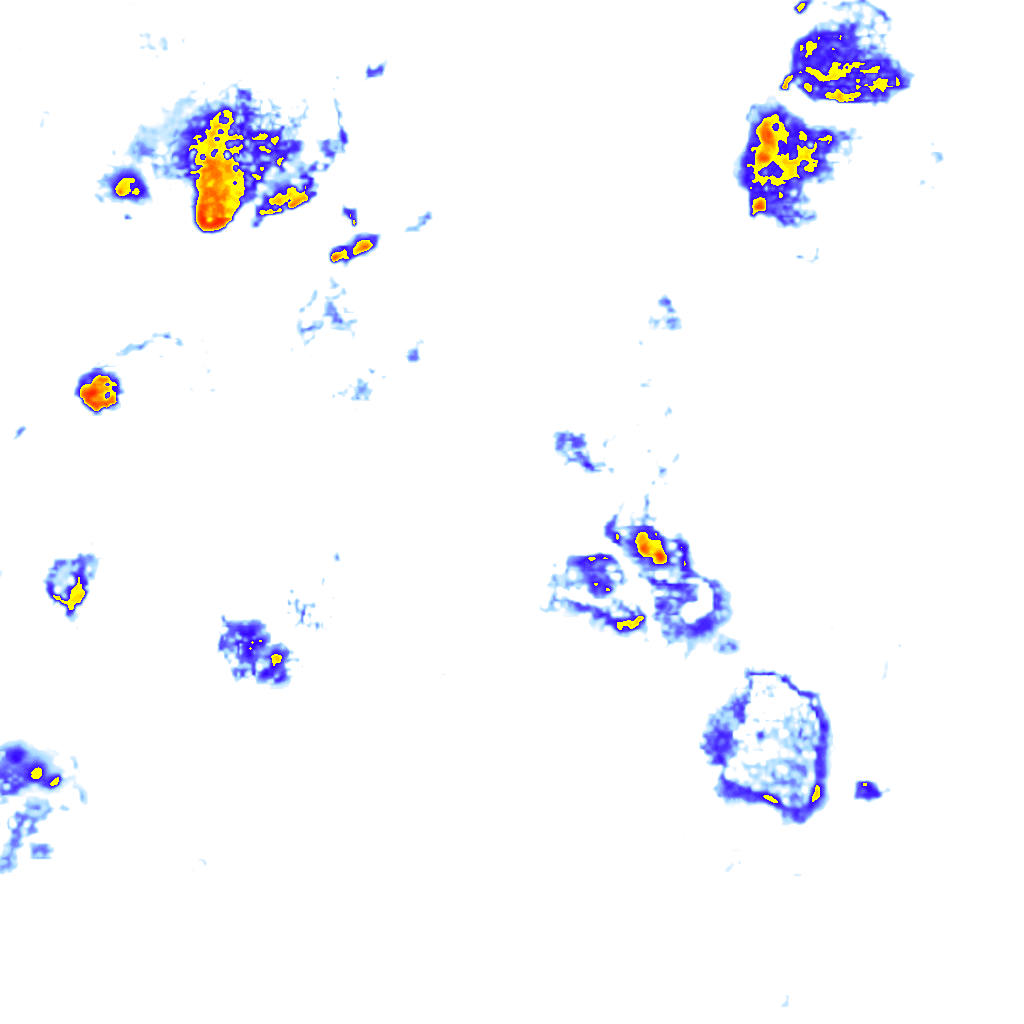 Image Layer