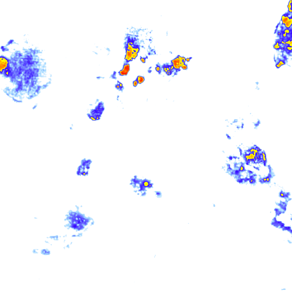 Image Layer