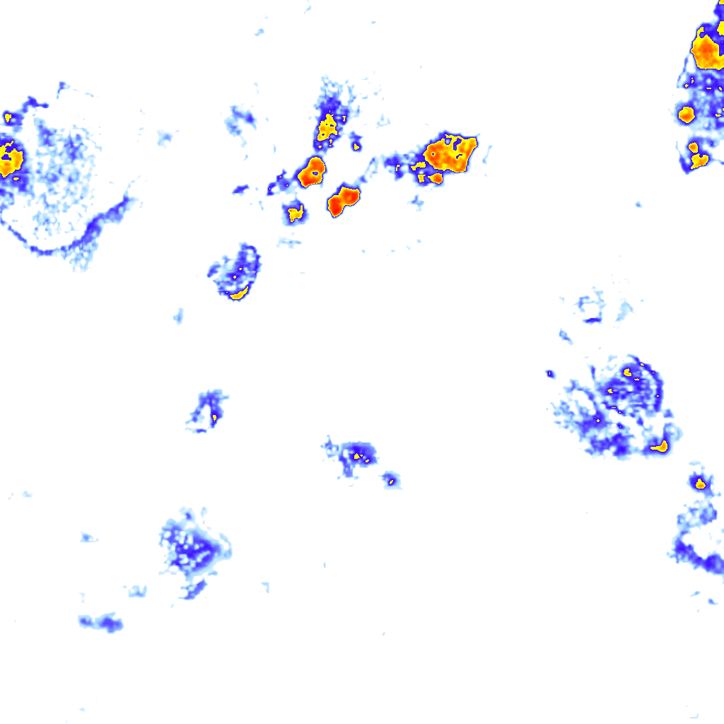 rainLayer