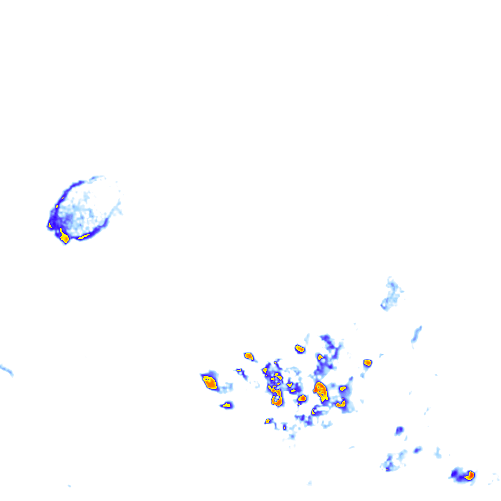 Image Layer