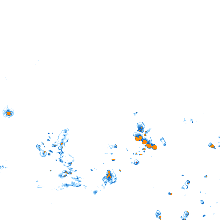 rain layer