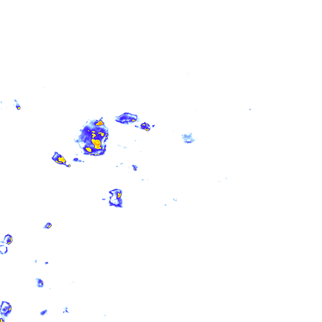 rainLayer