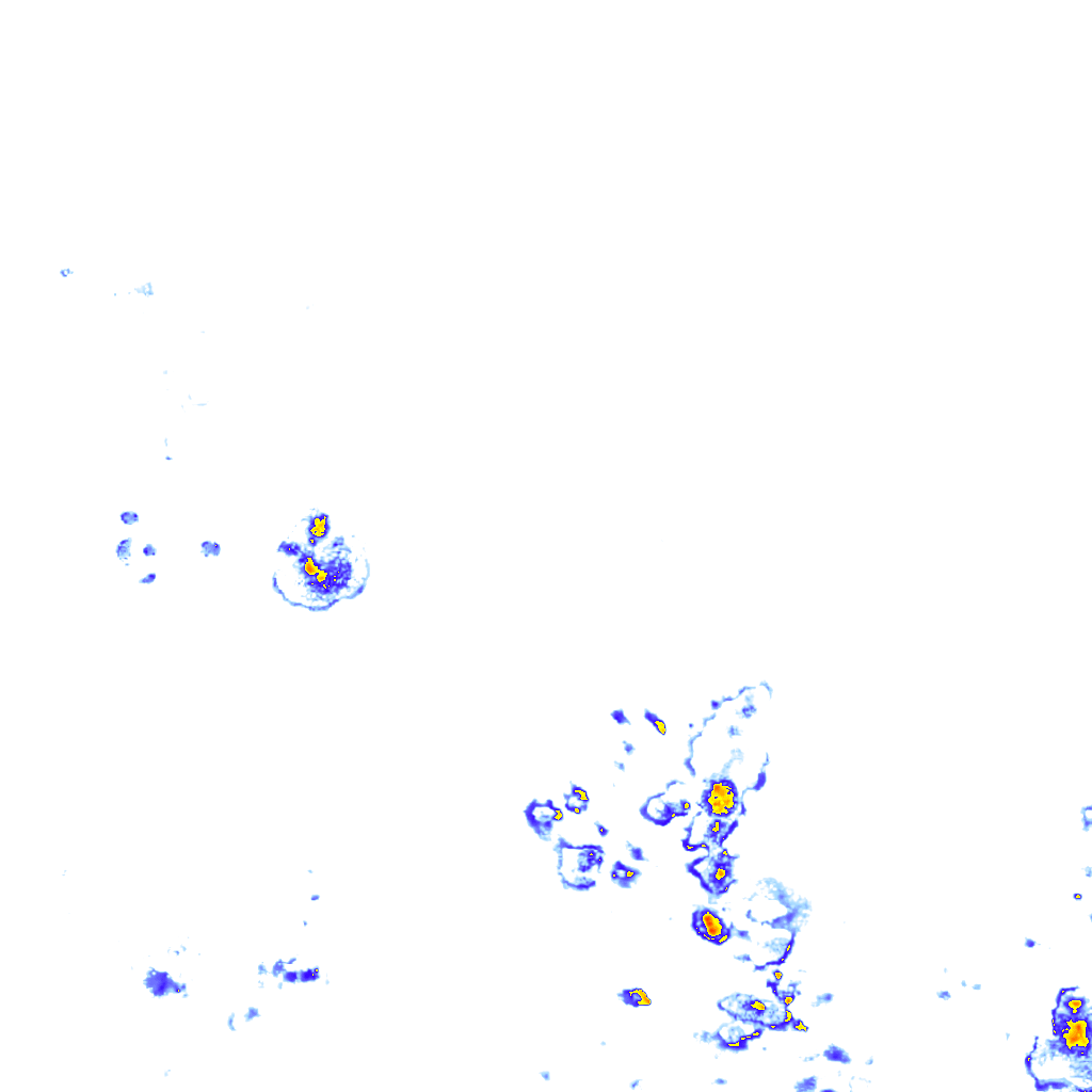 rainLayer
