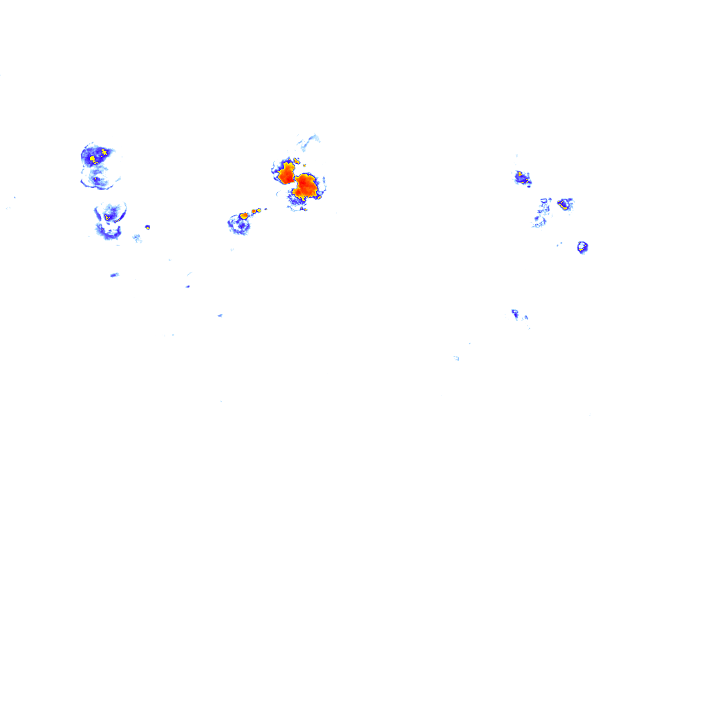 Image Layer