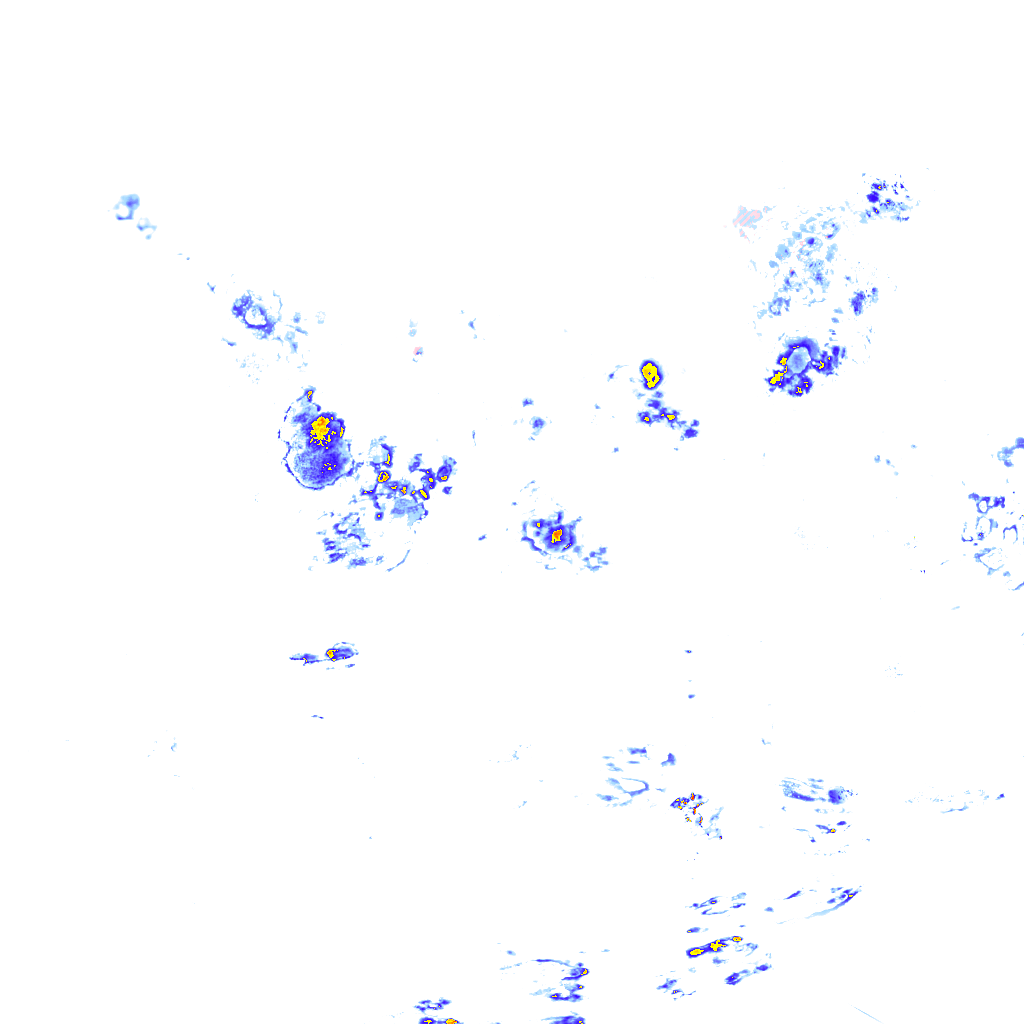 rainLayer