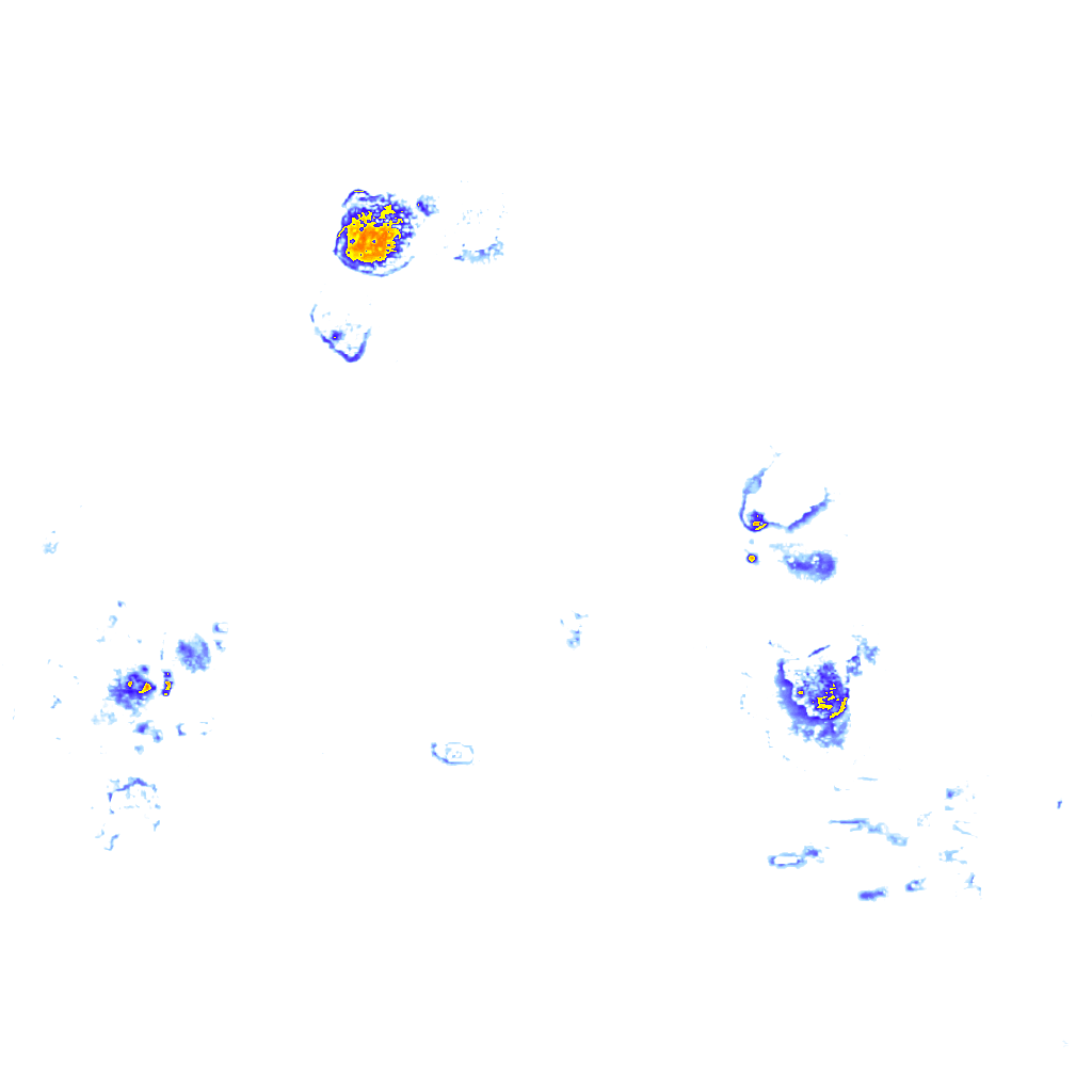 rainLayer