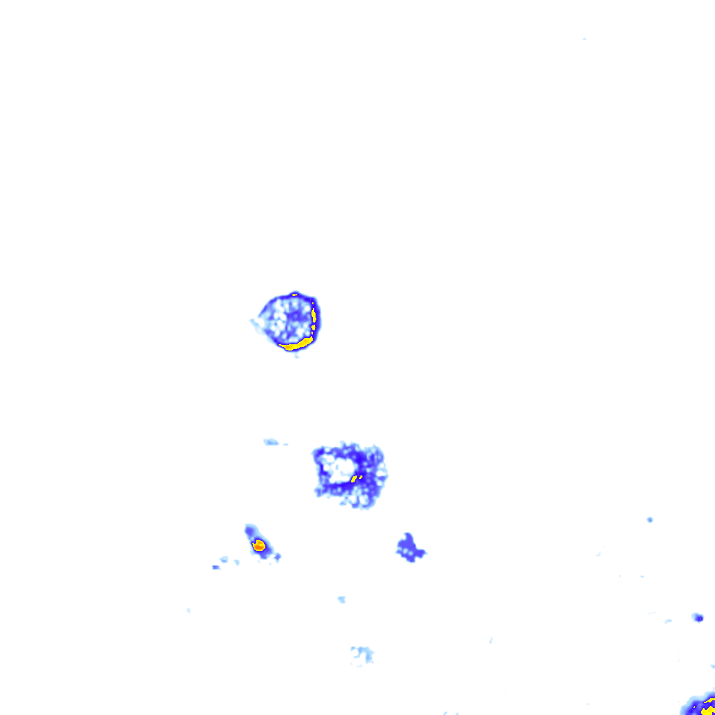 rainLayer