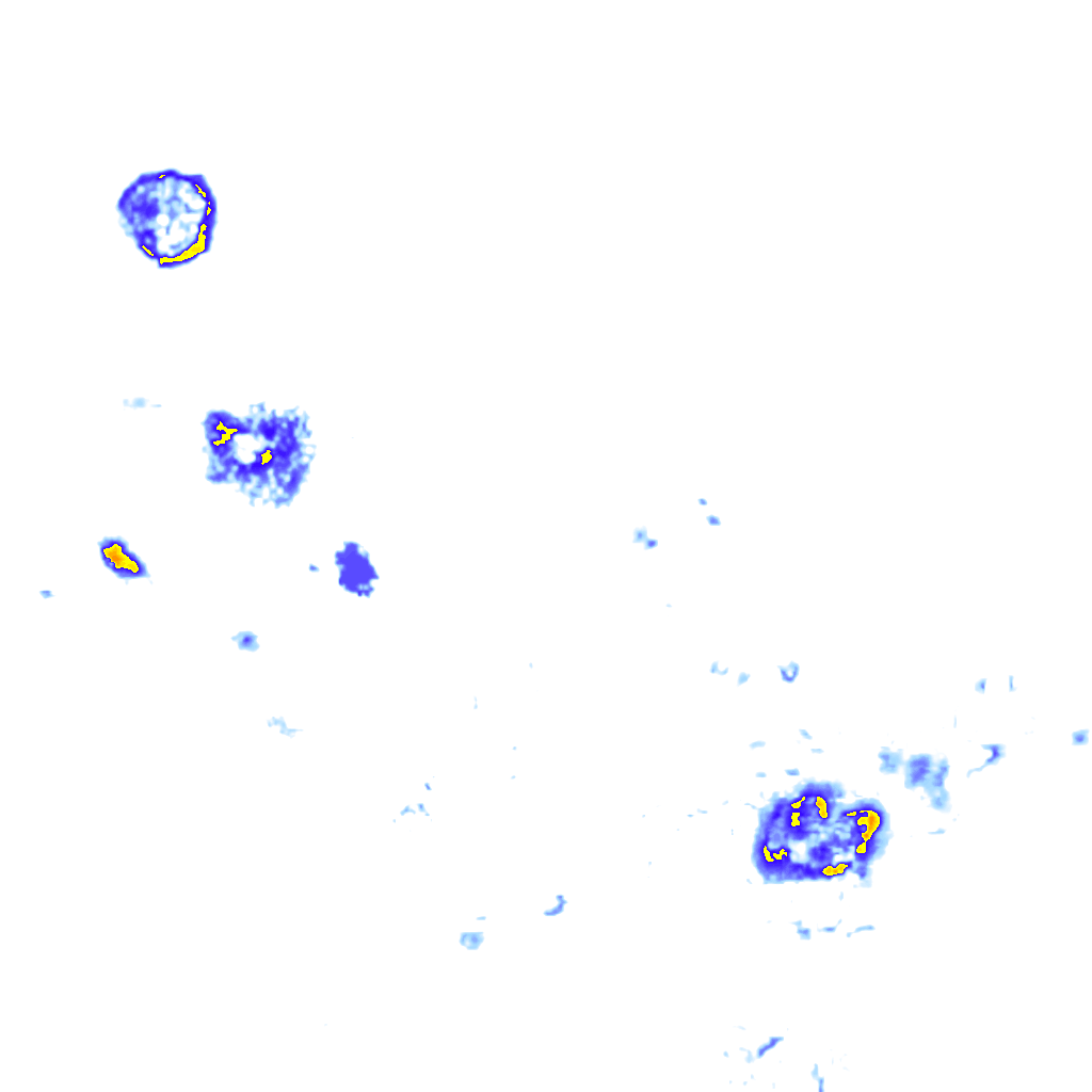 Image Layer