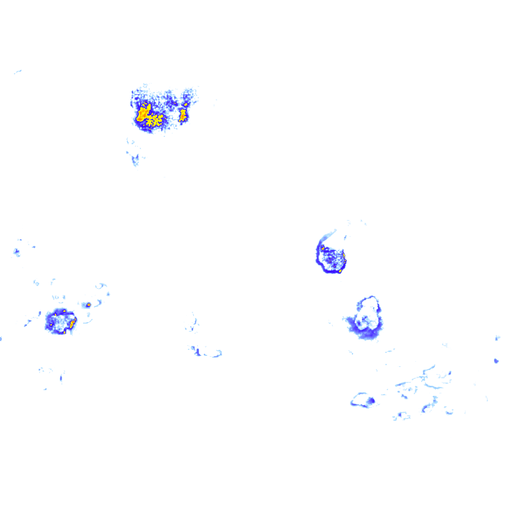 rainLayer