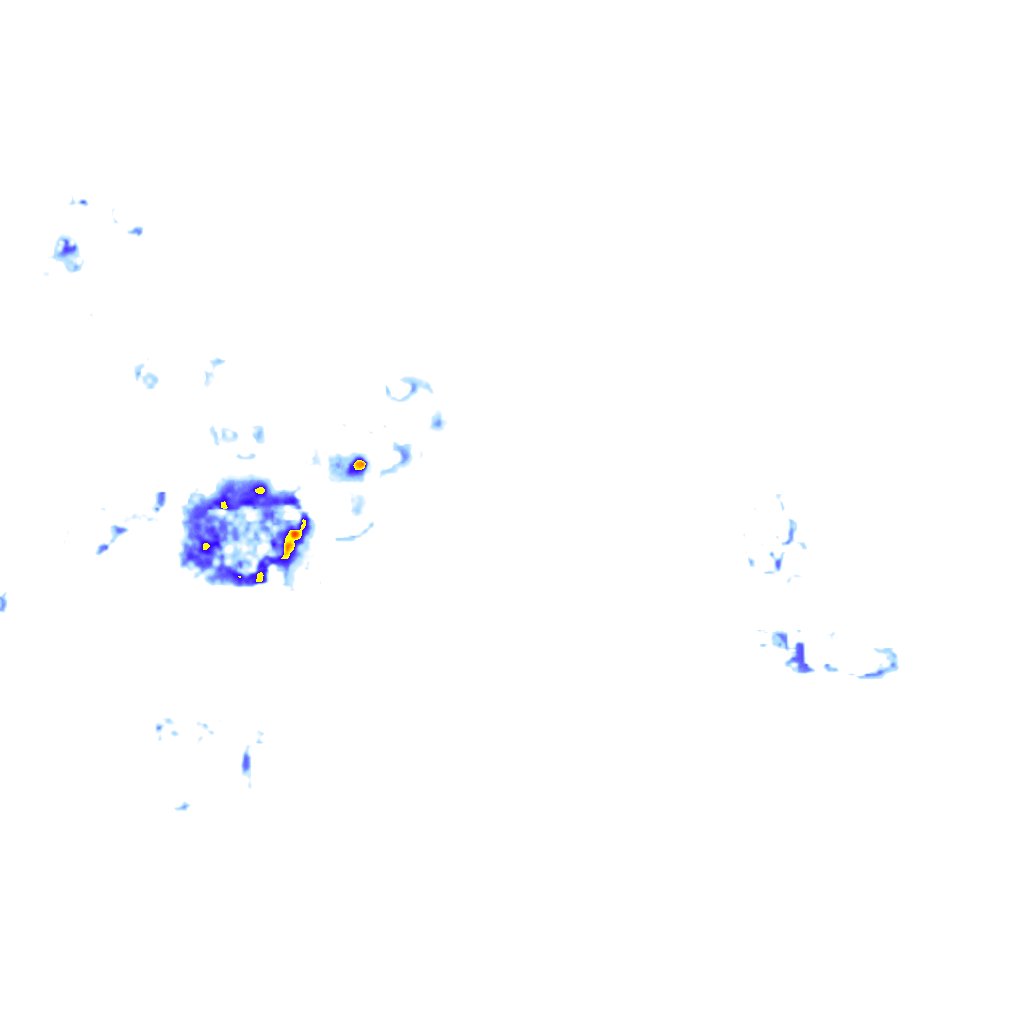 Image Layer