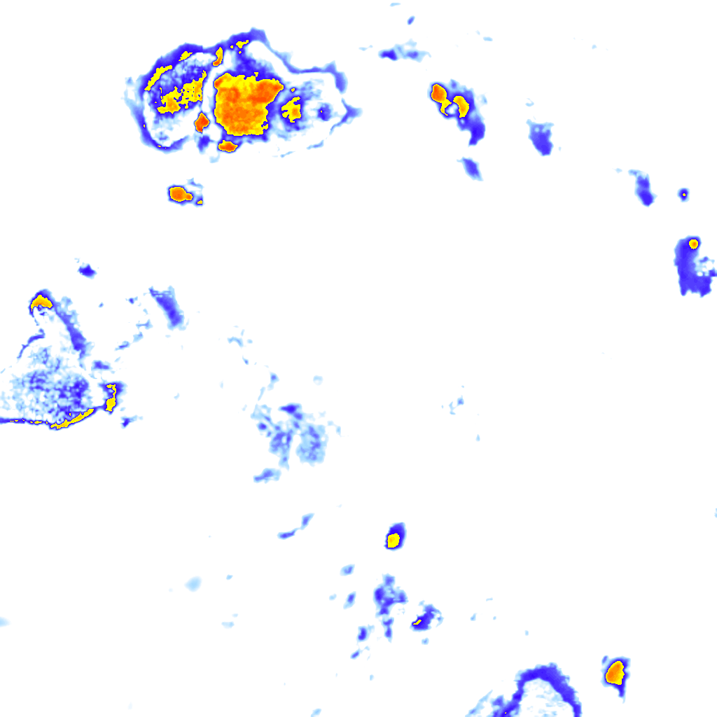 rainLayer