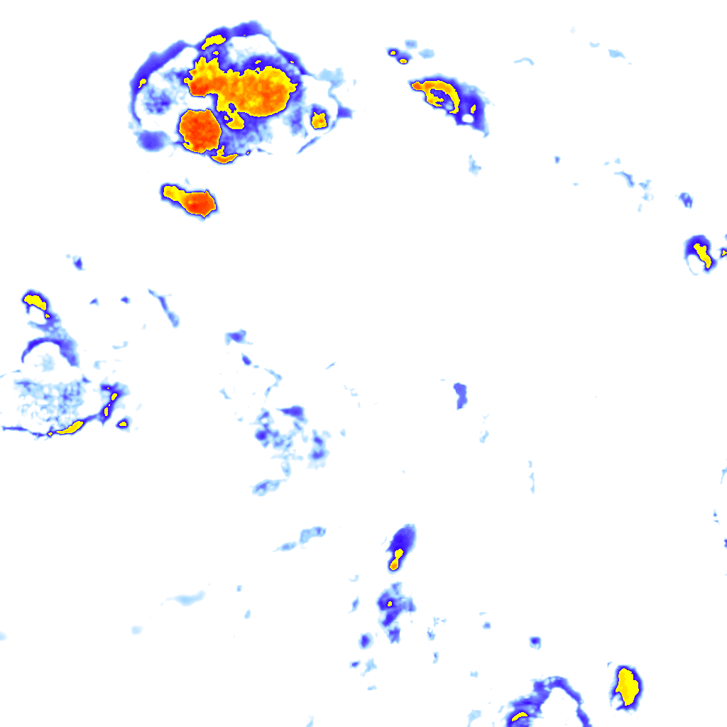 Image Layer