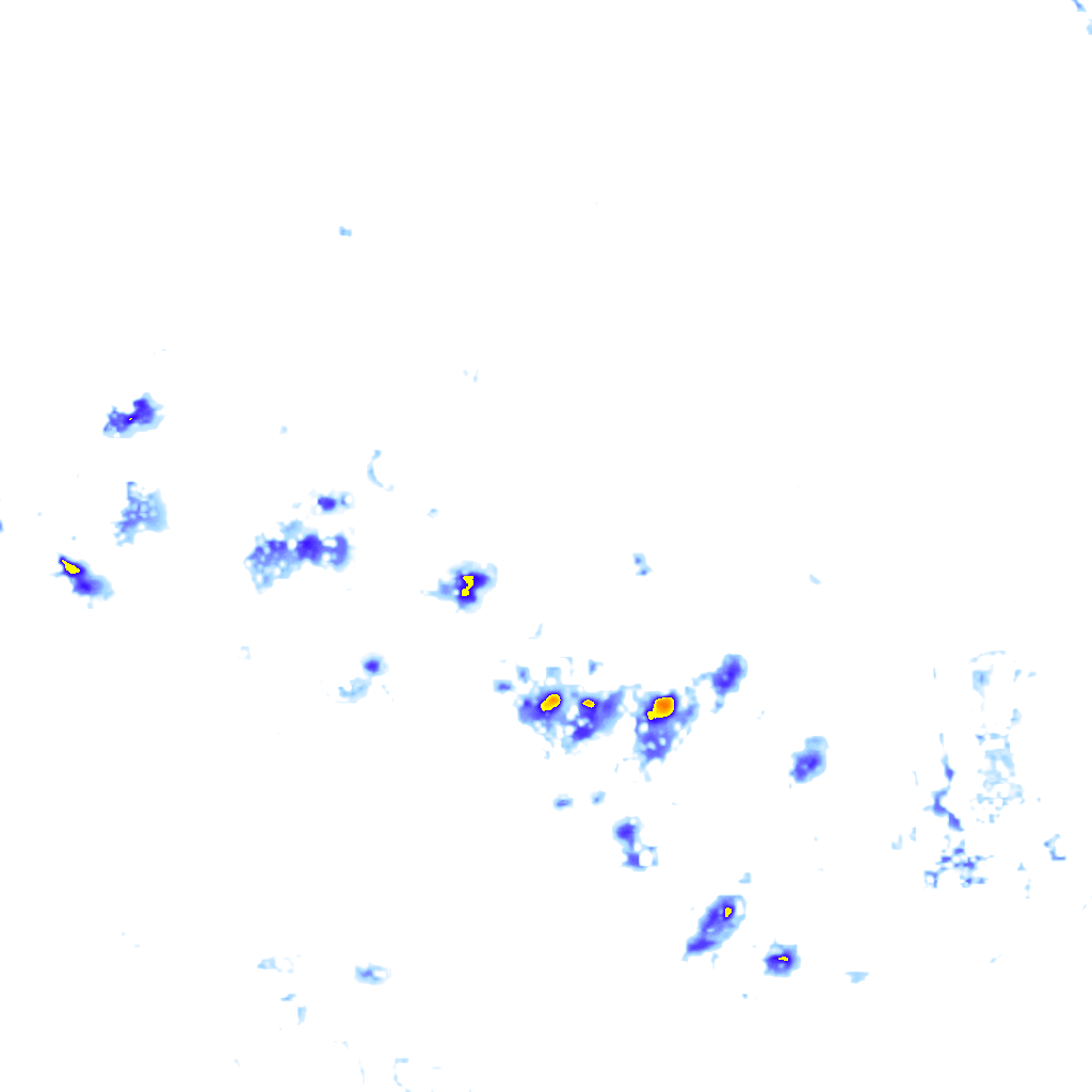 Image Layer