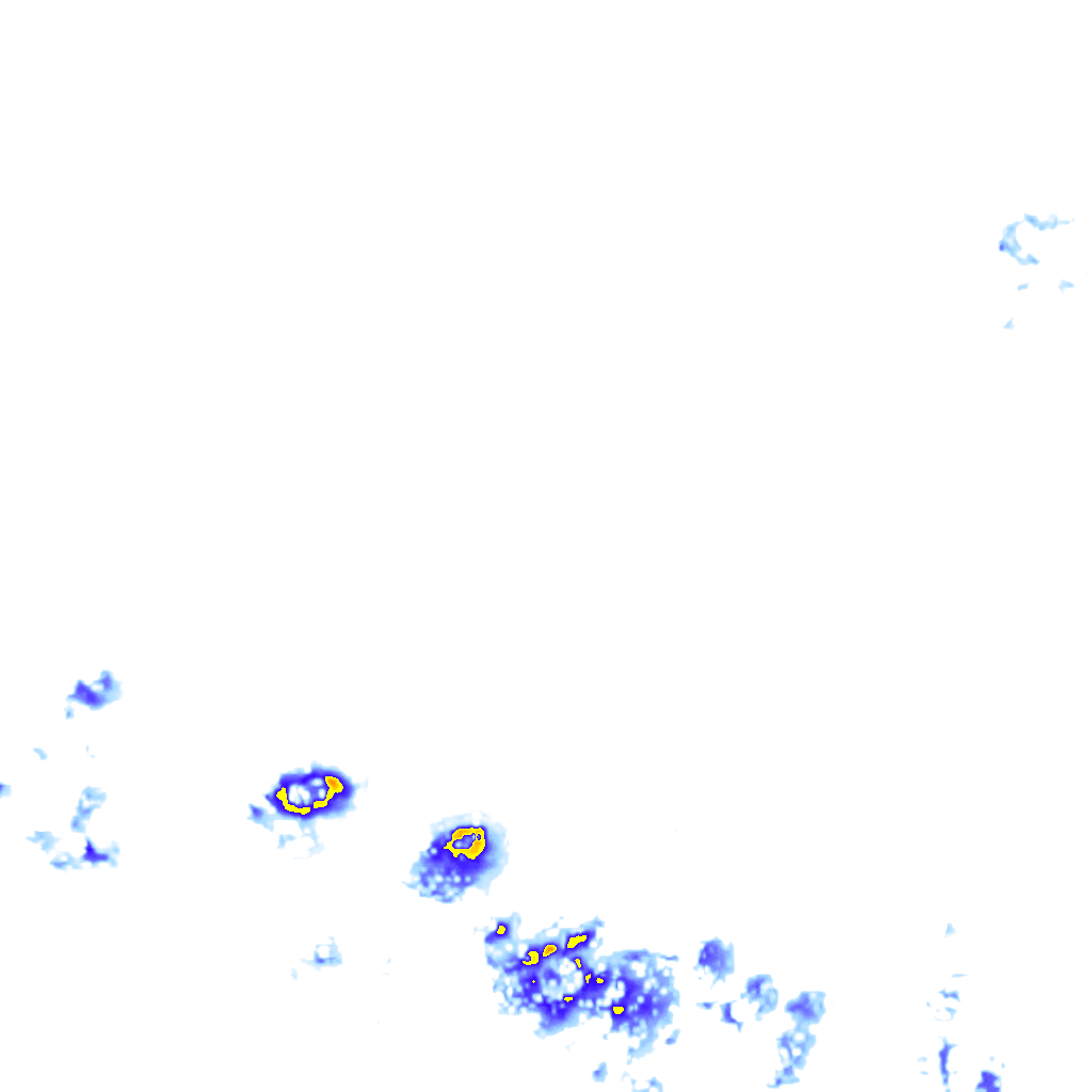 rainLayer