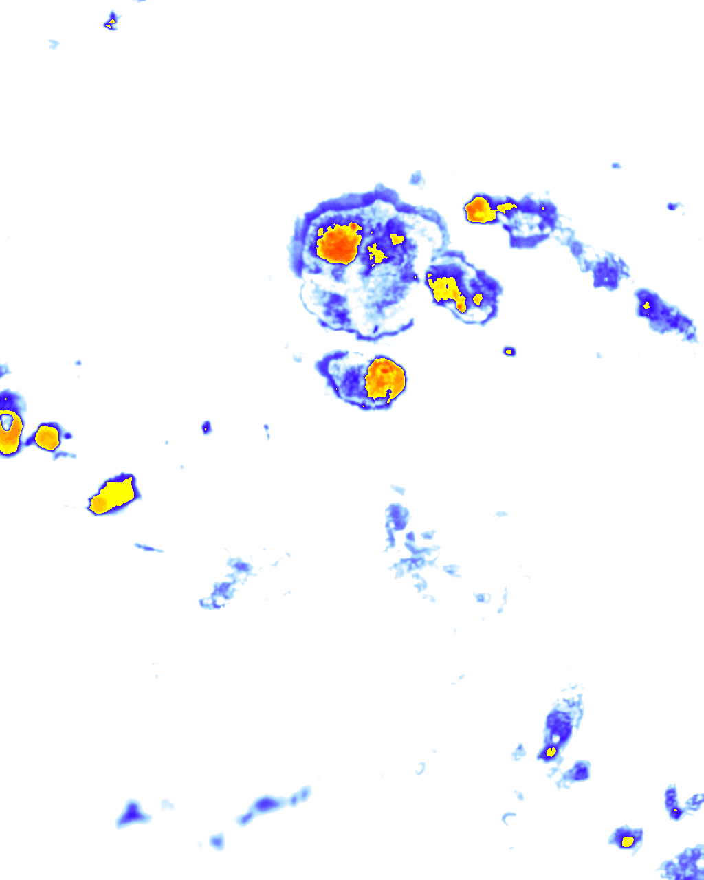 Image Layer