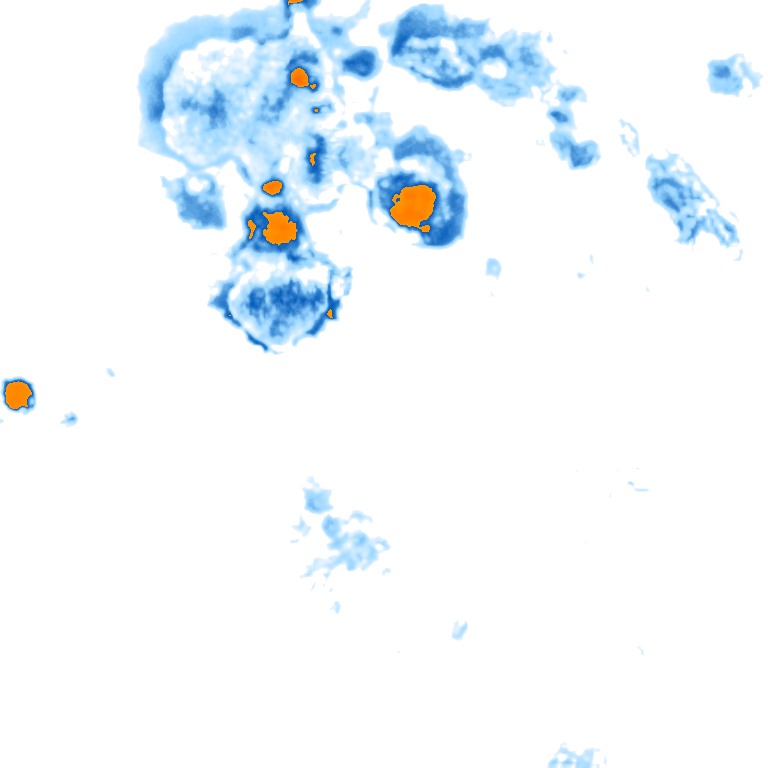 rain layer