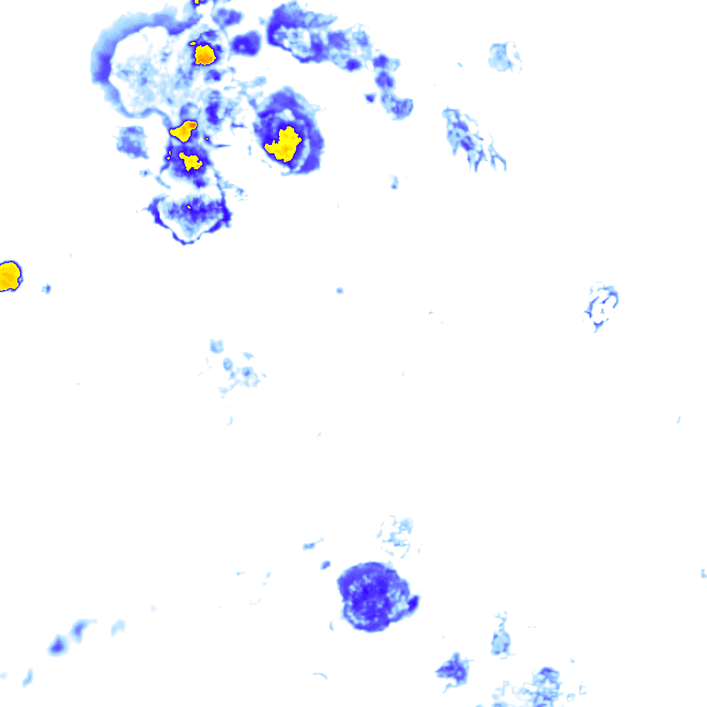 rainLayer