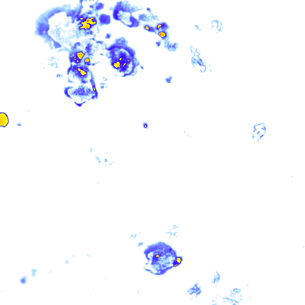rainLayer