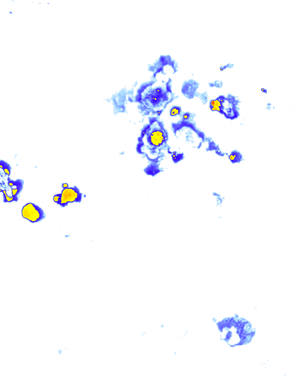 Image Layer