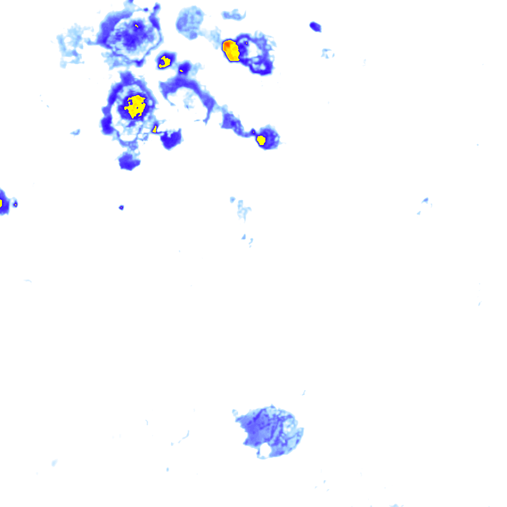 rainLayer