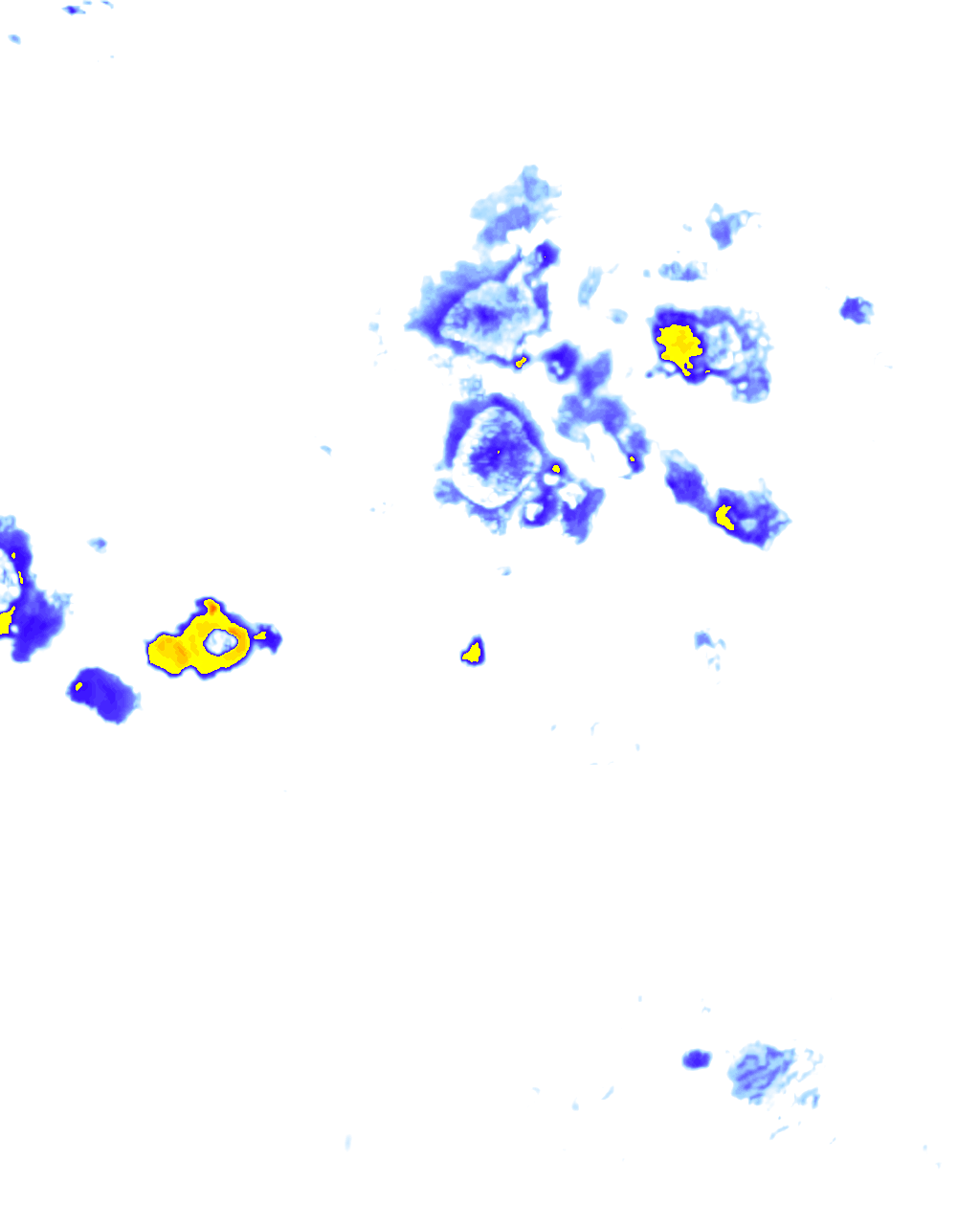Image Layer