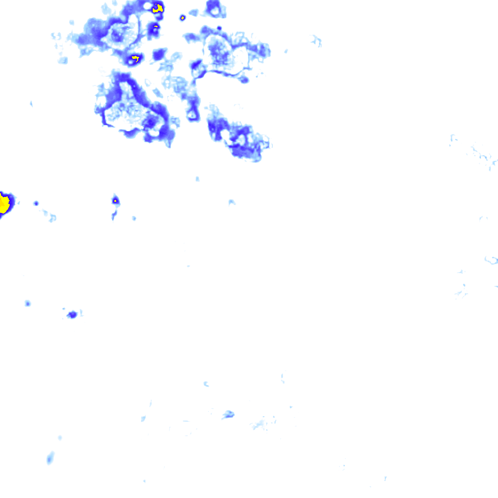 Image Layer