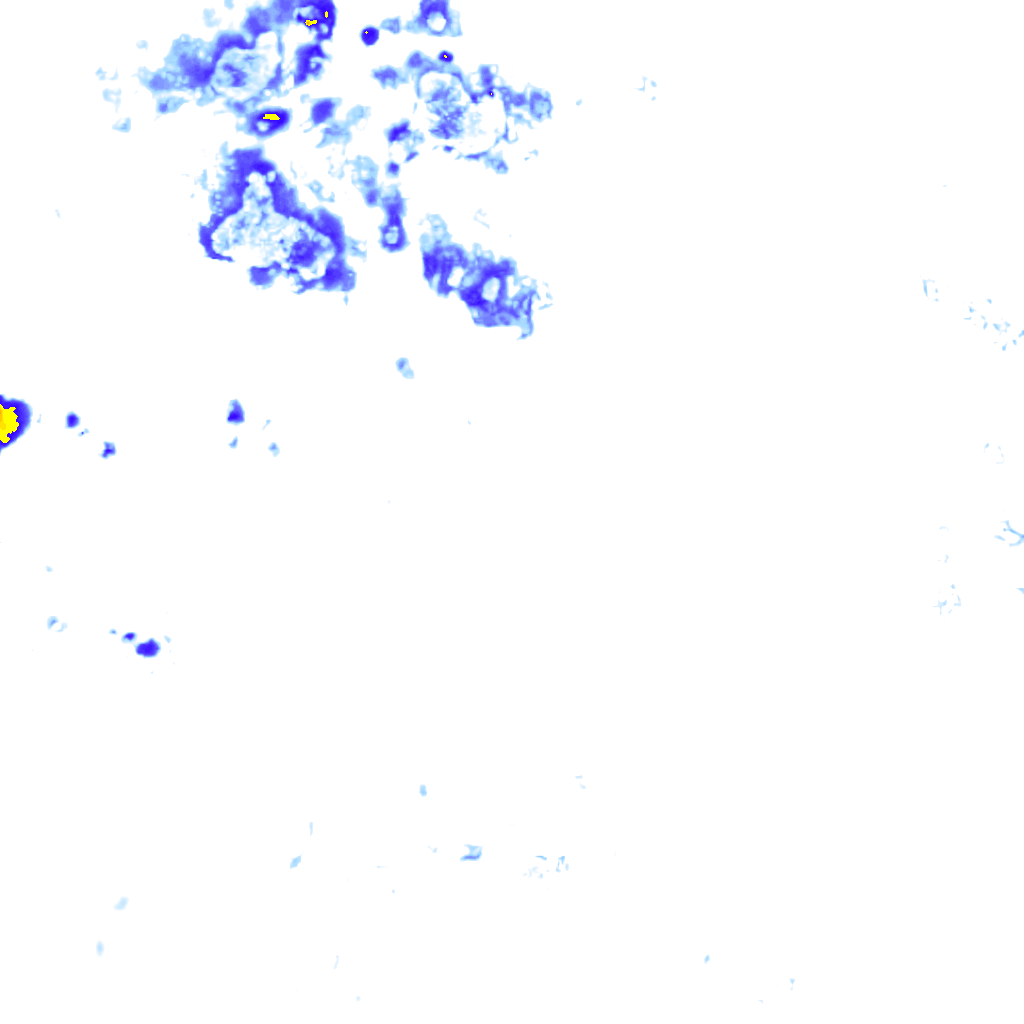 rainLayer