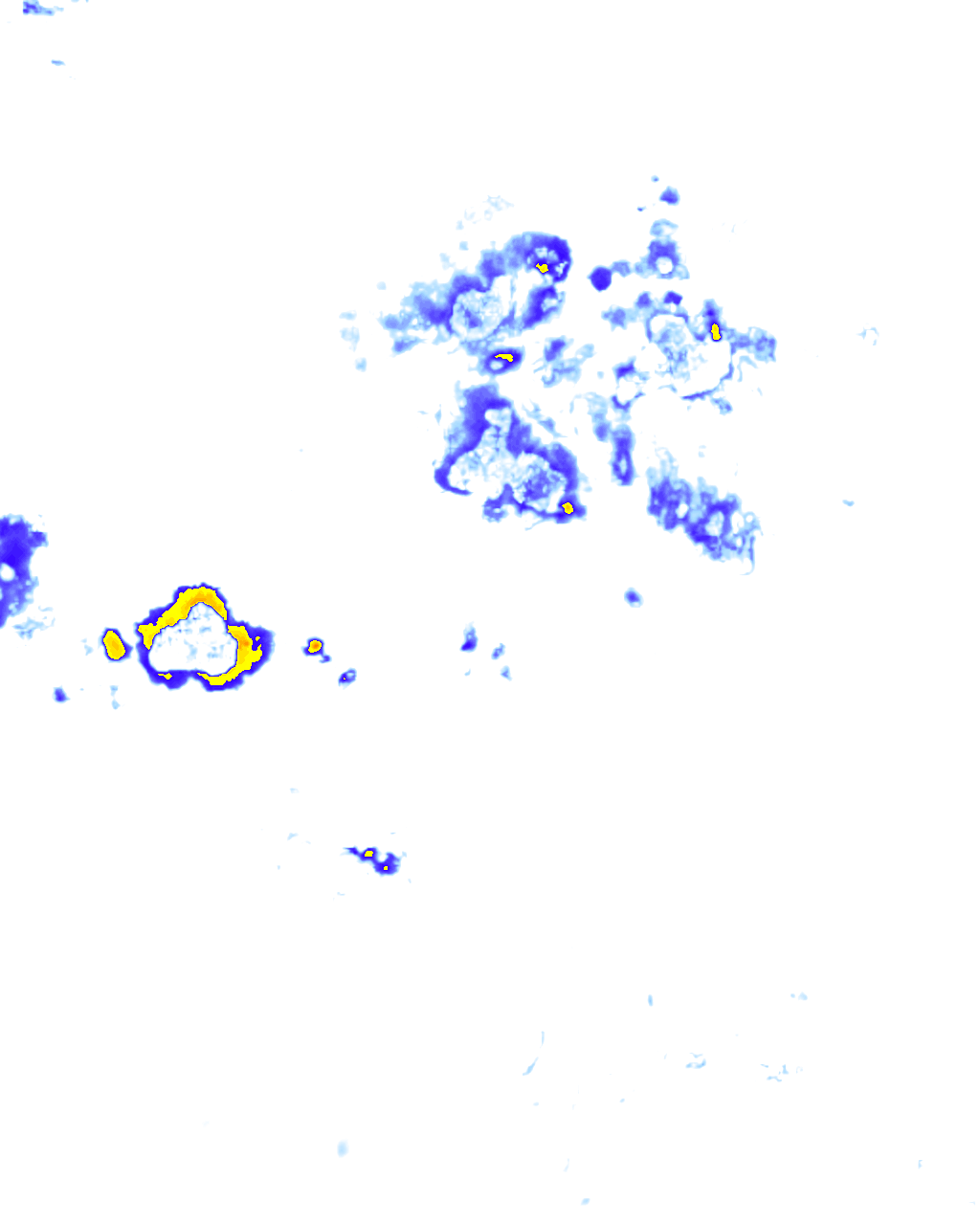 Image Layer