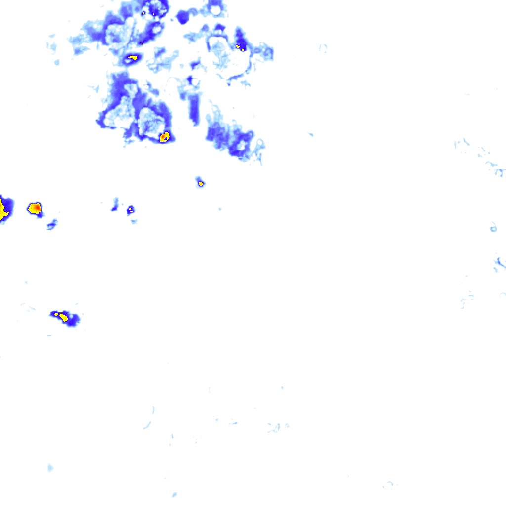 Image Layer