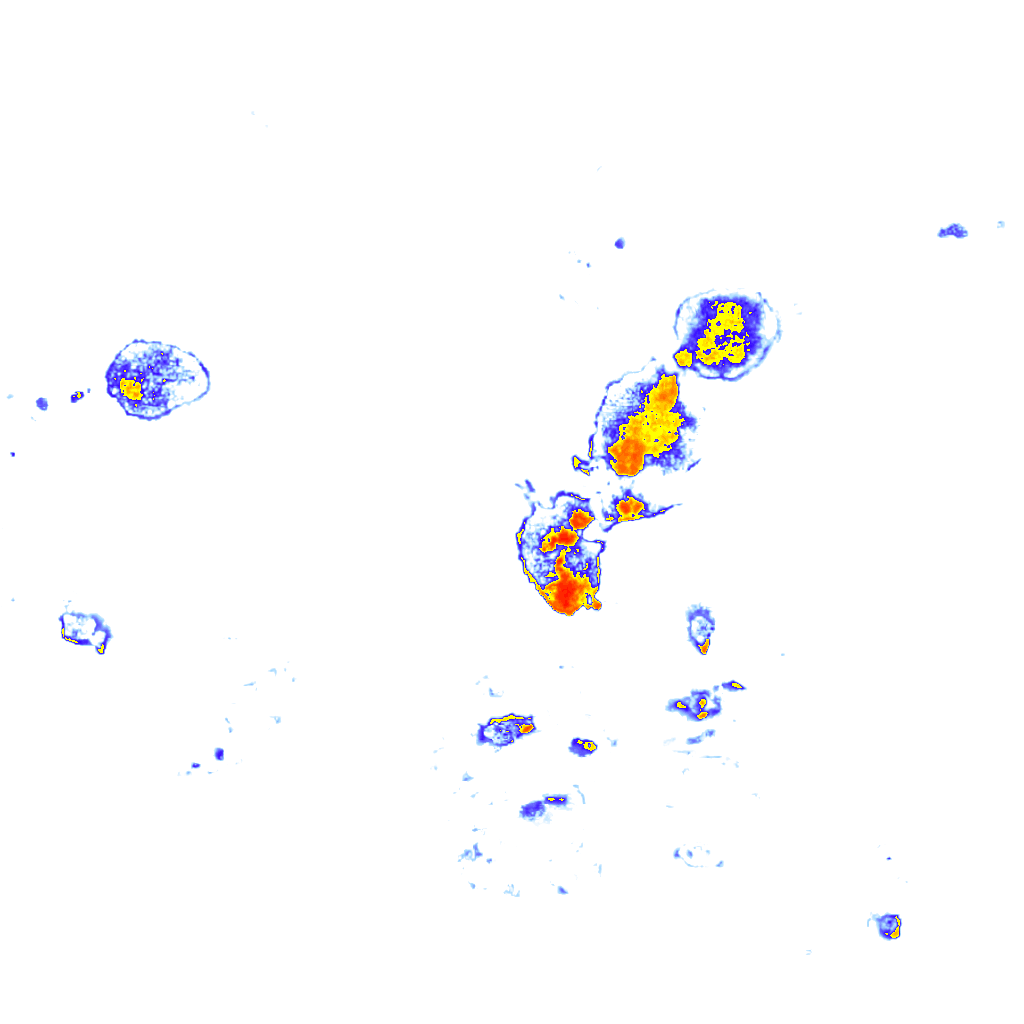Image Layer