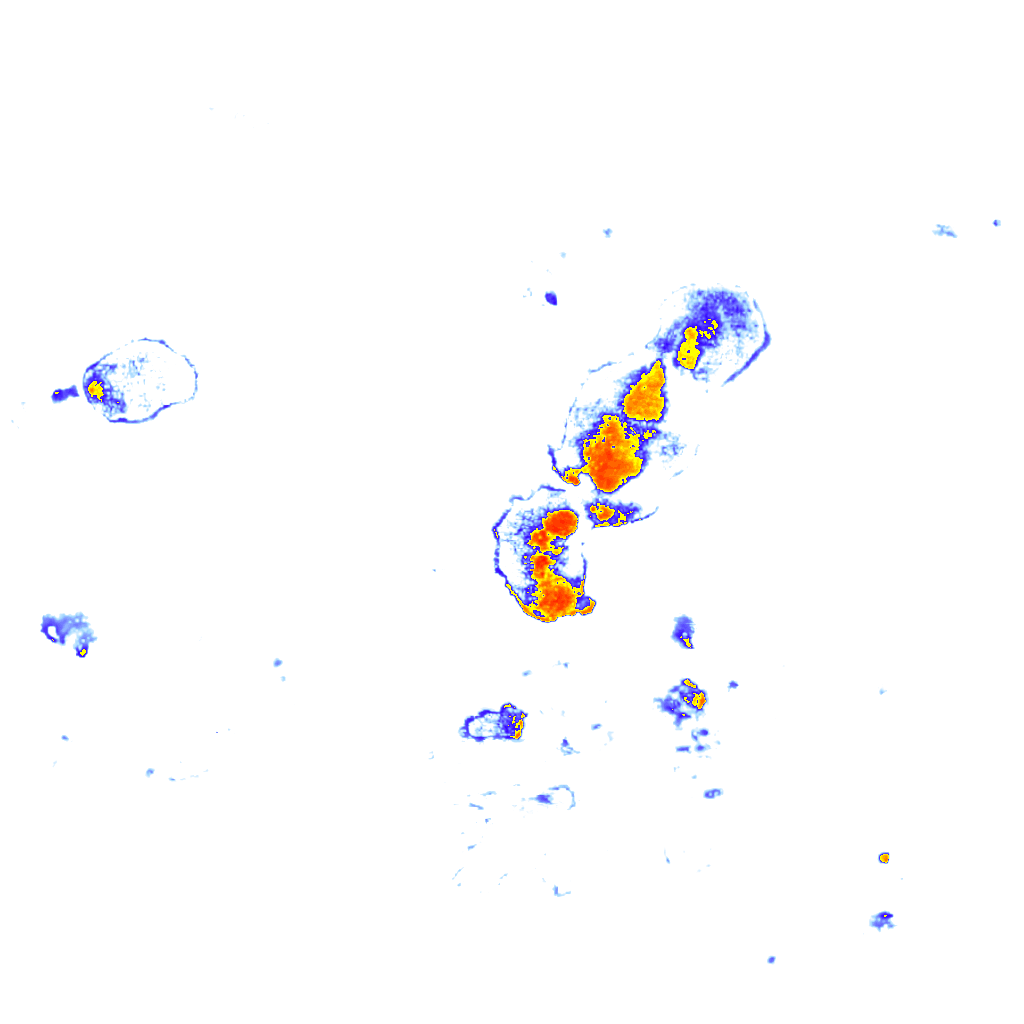 Image Layer